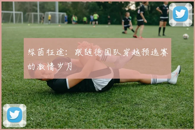 绿茵征途：跟随德国队穿越预选赛的激情岁月