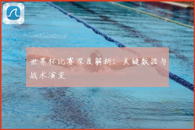 世界杯比赛深度解析：关键数据与战术演变