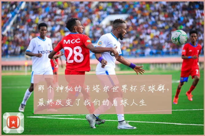 那个神秘的卡塔尔世界杯买球群，最终改变了我们的看球人生