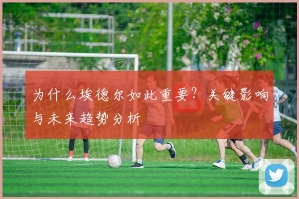 为什么埃德尔如此重要？关键影响与未来趋势分析