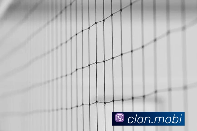 云开在线登录服务体系